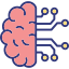 Tests for cognitive function in Tampa, FL.